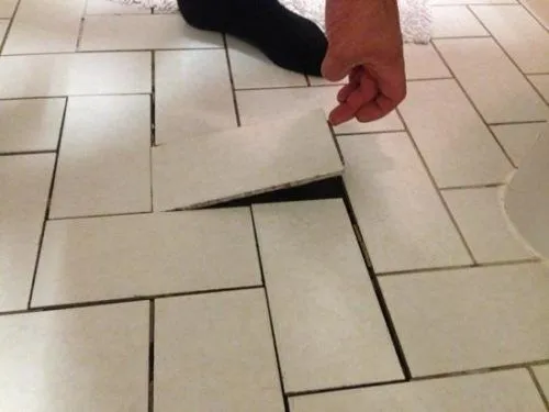 Signs of Flooring Damage From Plants