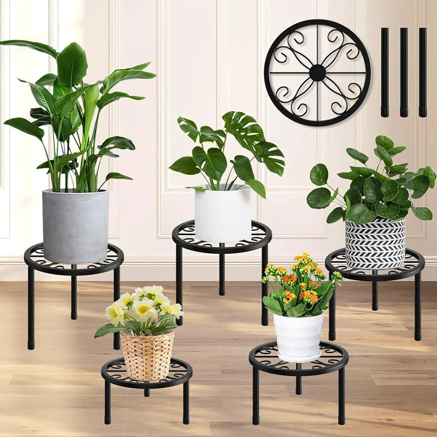 How to Protect Flooring from Plant Damage