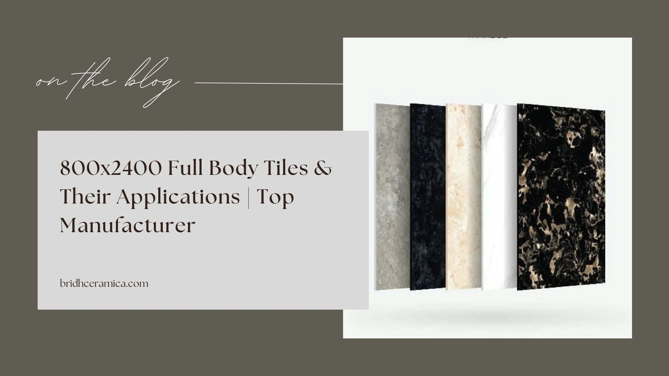 800x2400 Full Body Tiles & Their Applications | Top Manufacturer