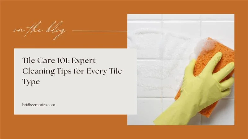 Tile Care 101: Expert Cleaning Tips For Every Tile Type